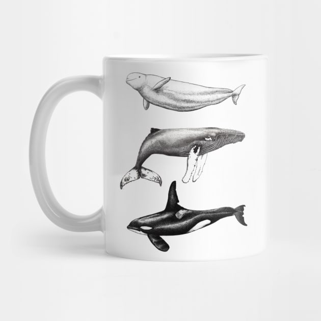 Beluga, orca and humpback whale ink by chloeyzoard